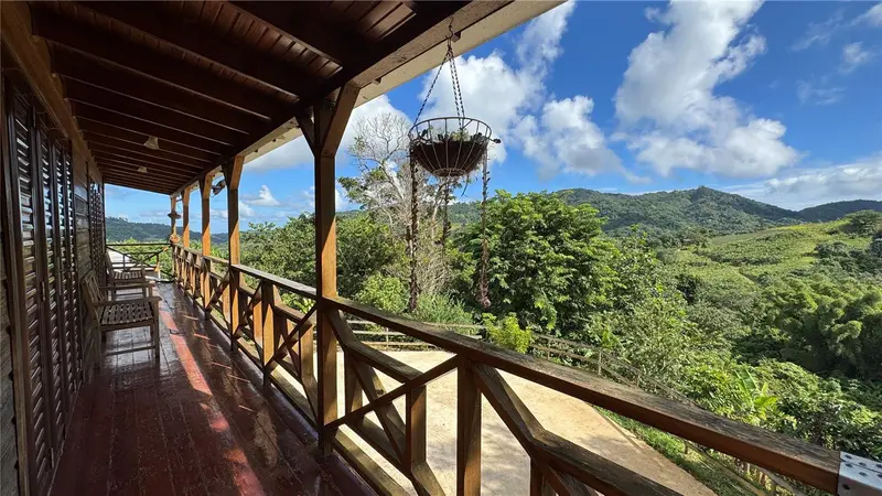 Sr 526 Bosque Tanama, PR
