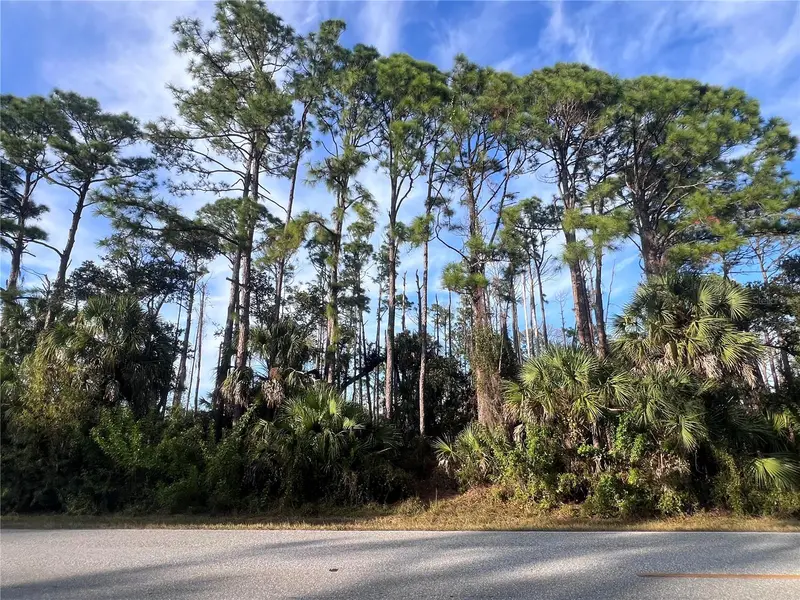 13486 Chamberlain Blvd, FL