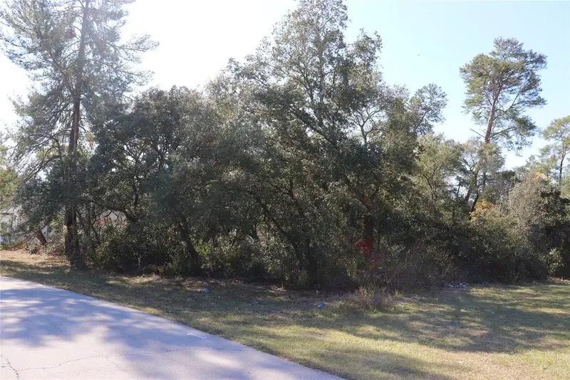 Tbd Marion Oaks Golf Rd, FL