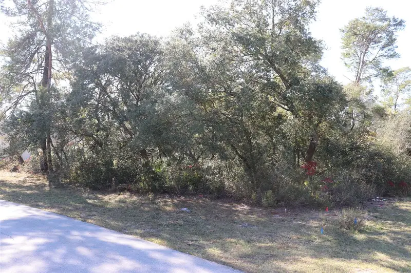 Tbd Marion Oaks Golf Rd, FL