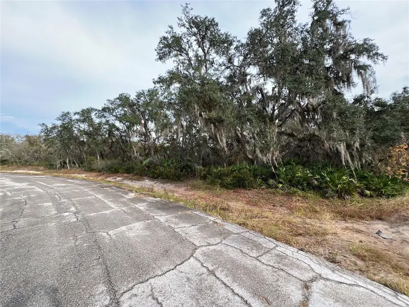 1251 Baltic Dr, FL