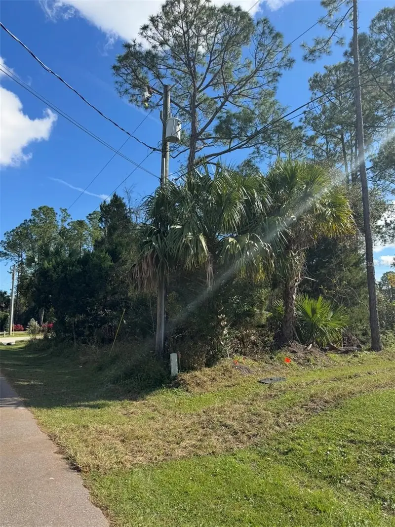 38 Sleepy Hollow Trl, FL