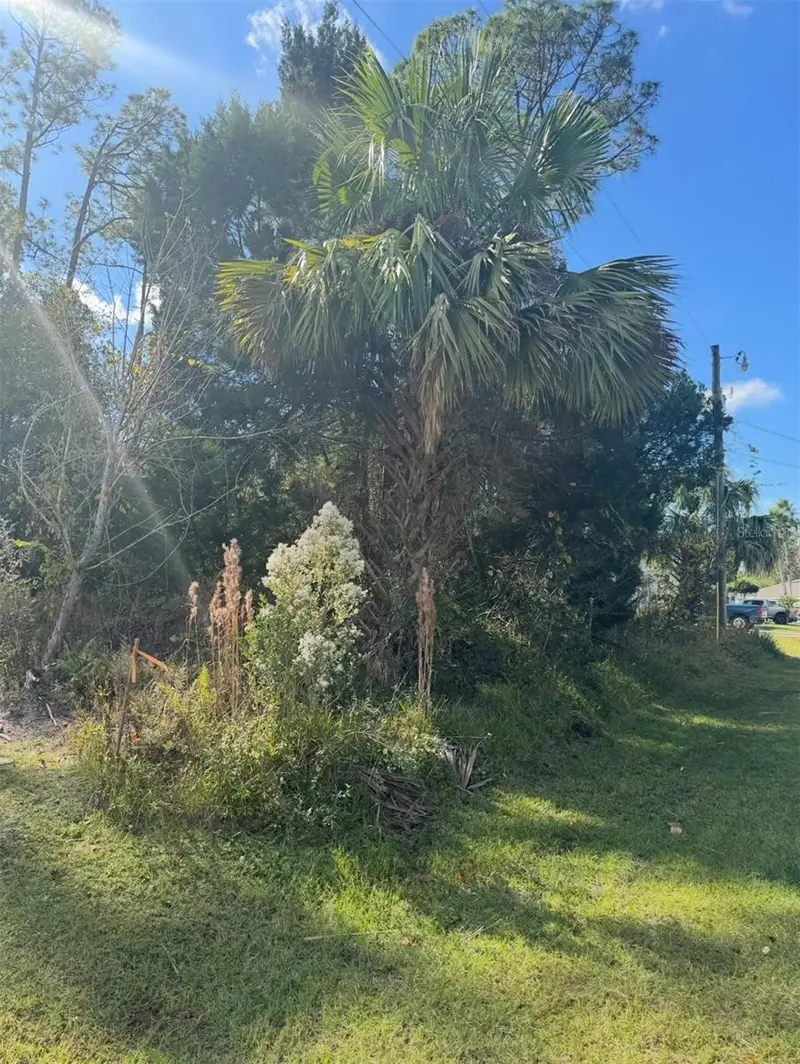 38 Sleepy Hollow Trl, FL