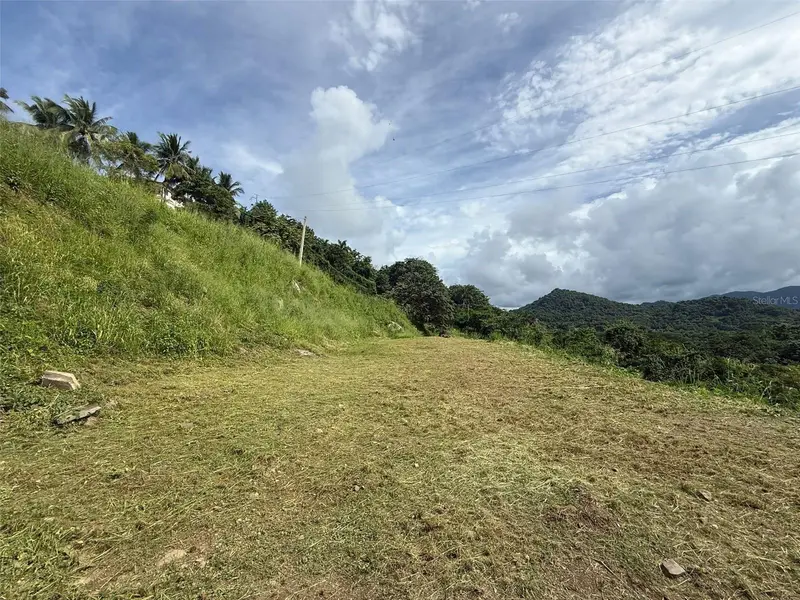10 Rainforest And Sea View Resort,, PR