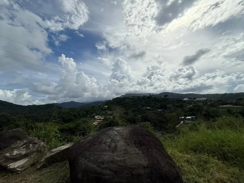 10 Rainforest And Sea View Resort,, PR