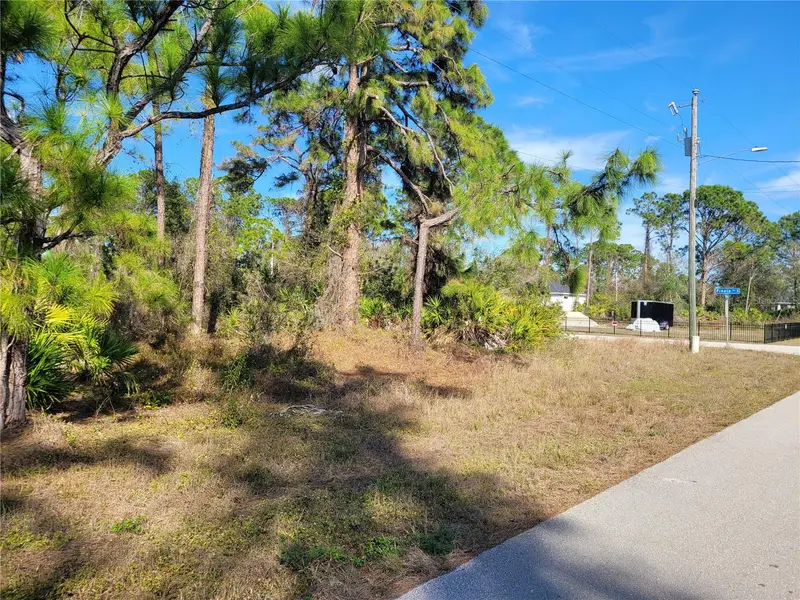 236 Pinola Ave S, FL
