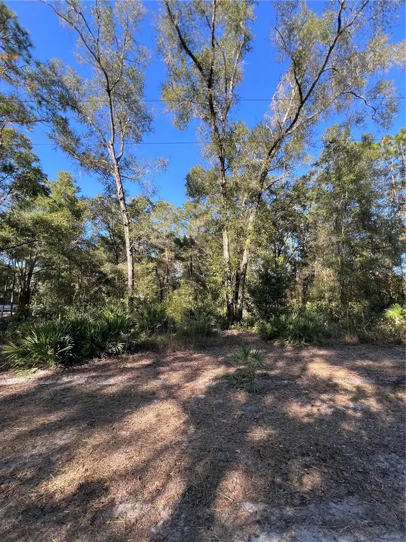 Tbd Se 179th Pl, FL