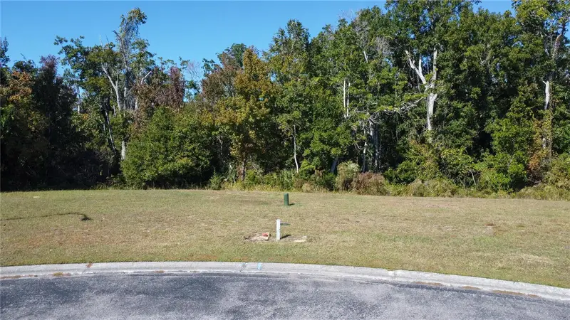0 Forest Glenn Dr, FL