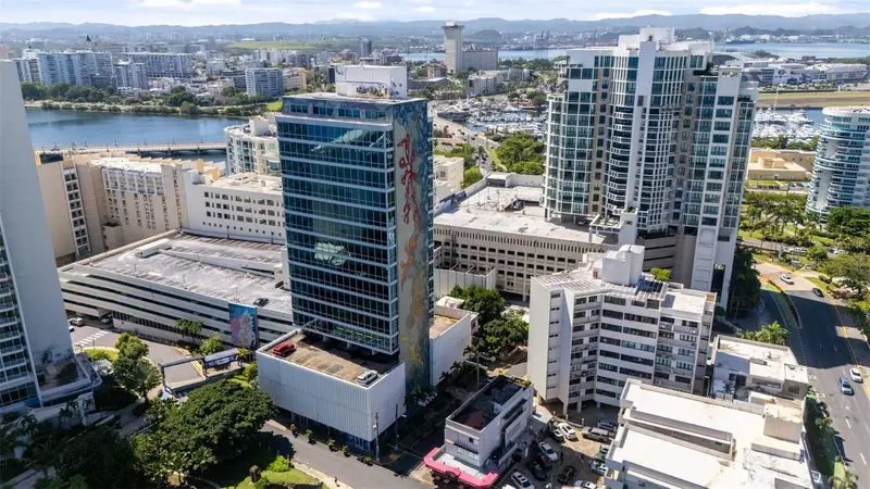 55 Las Palmeras, PR