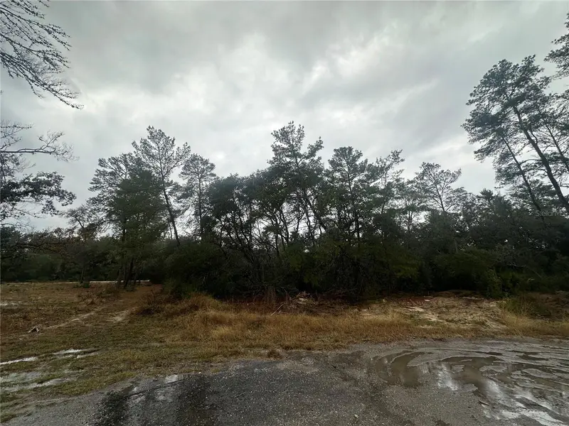 Sw 35 Ter, FL