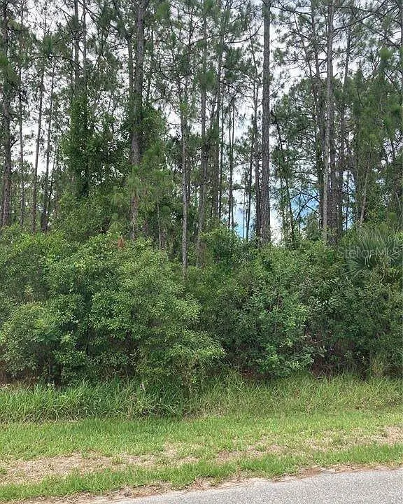 Bristol Ave #Lot 21, FL