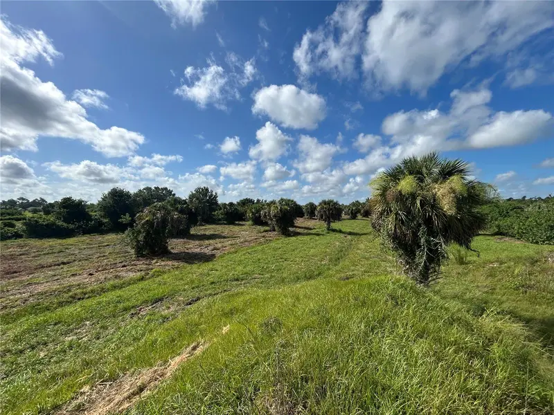 7008 Grove Blvd, FL