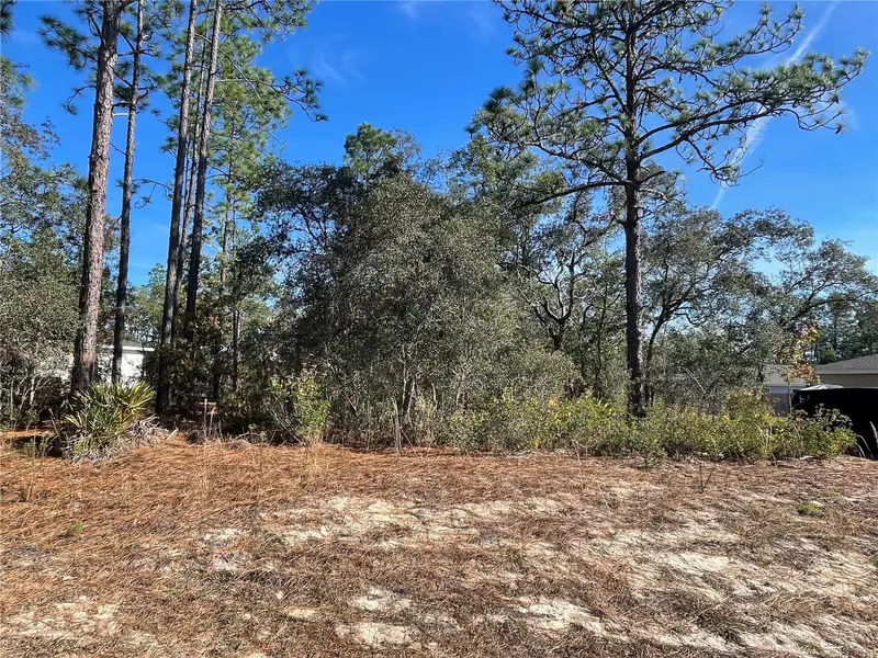 11475 N Kenney Loop, FL