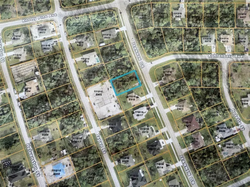 Jeannin Dr, FL
