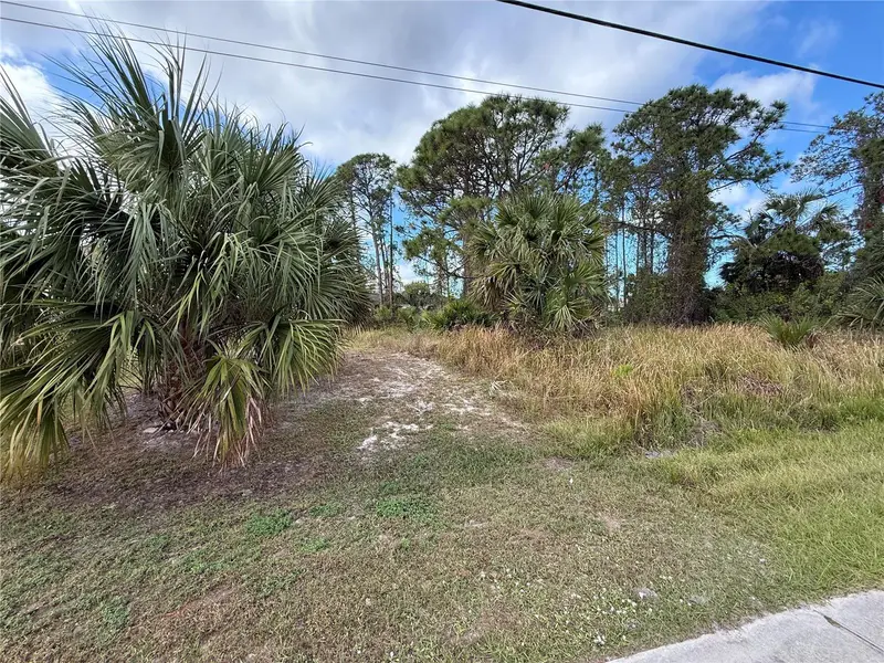 Jeannin Dr, FL