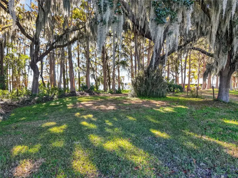 11911 Lane Park Road, FL