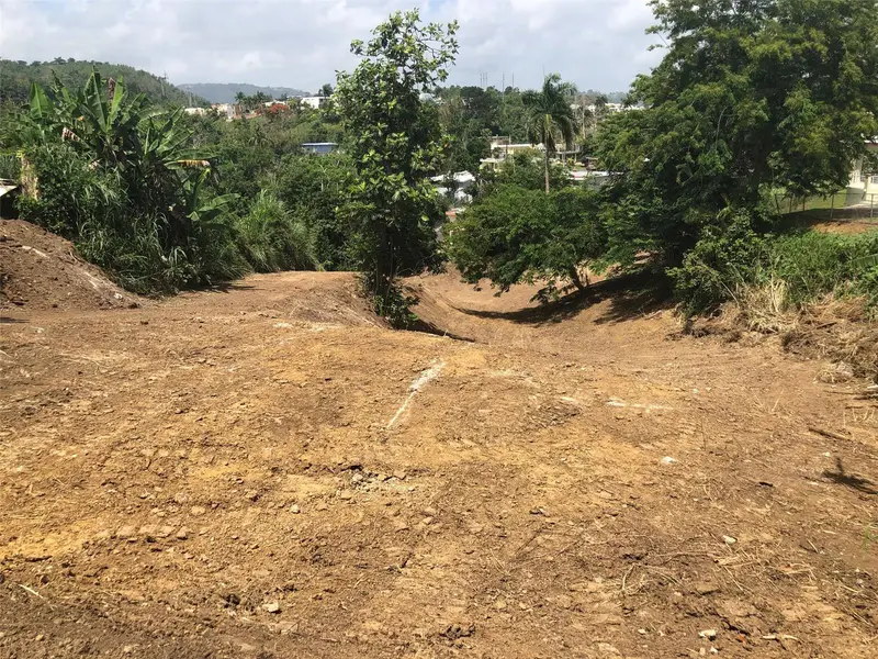 Bo Buena Vista , Carr 167 Km.Hm 13.9, PR