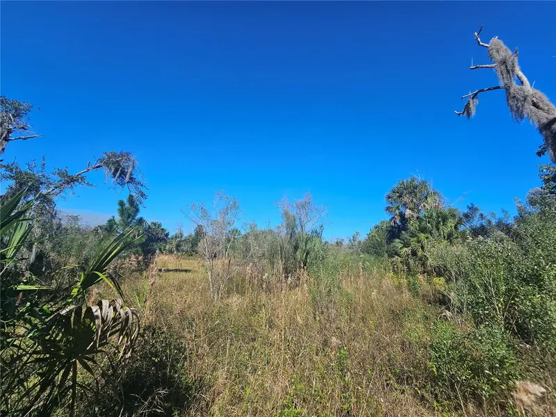786 Fort Florida Rd, FL