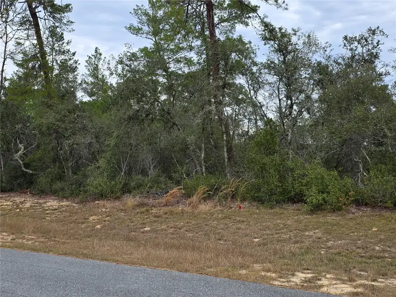 165 Sw Street Rd, FL