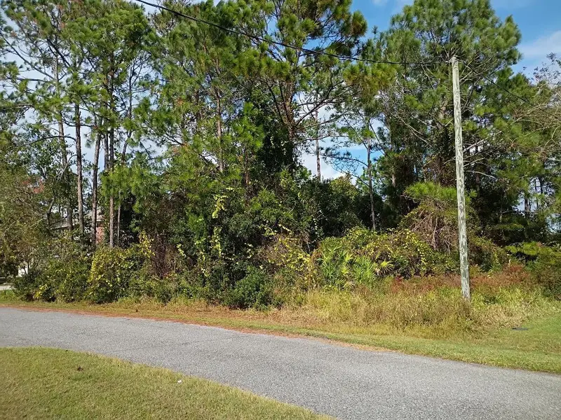 36 Buffalo Meadow Ln, FL