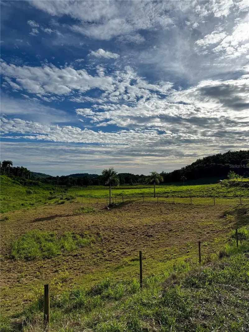 Carr 972 Mariana, PR