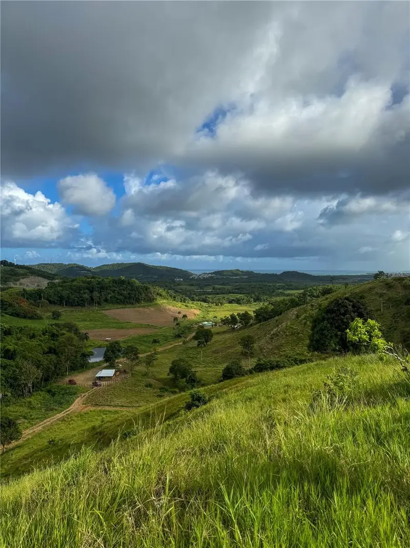 Carr 972 Mariana, PR