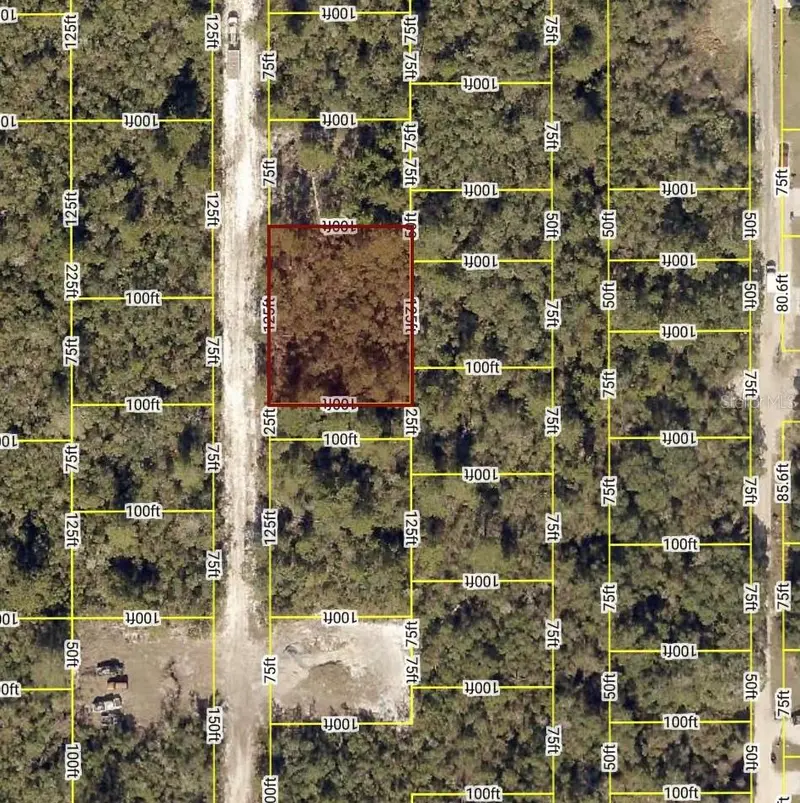 Waldor Ave, FL
