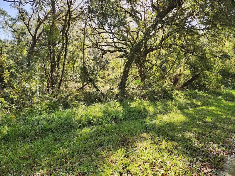 000 Table Rock Dr, FL