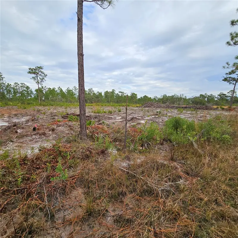 108 El Dorado Dr, FL