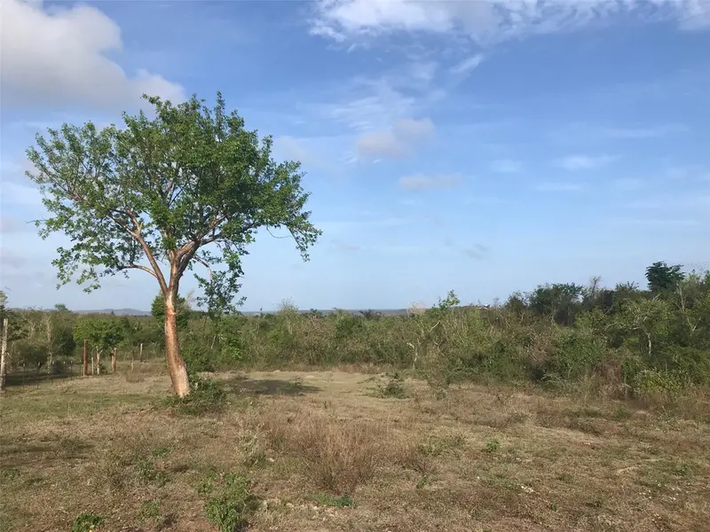 5 Doctor'S Path, PR