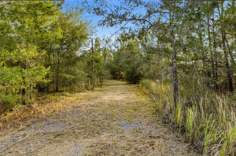 0 Backwoods Way, FL