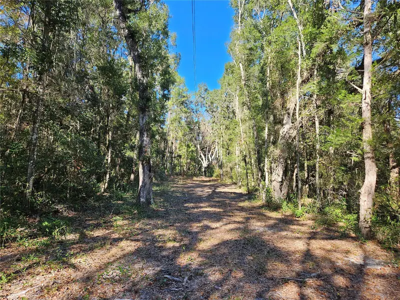 Tbd Ne 175th Ave, FL