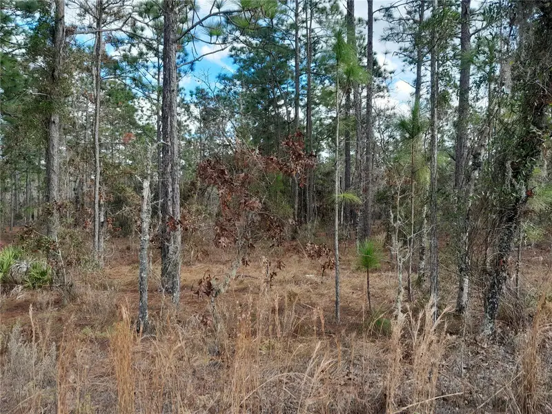 Tbd Ne 150th Ave, FL