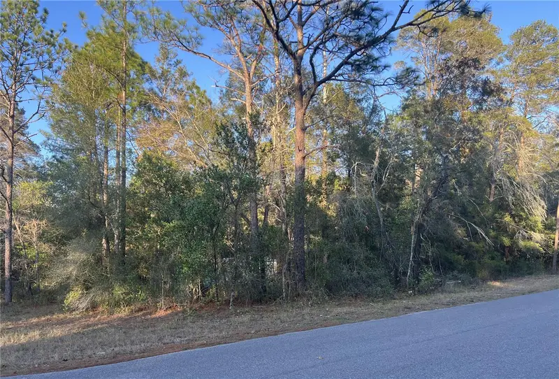 Lot 4+ Blair Ave, FL