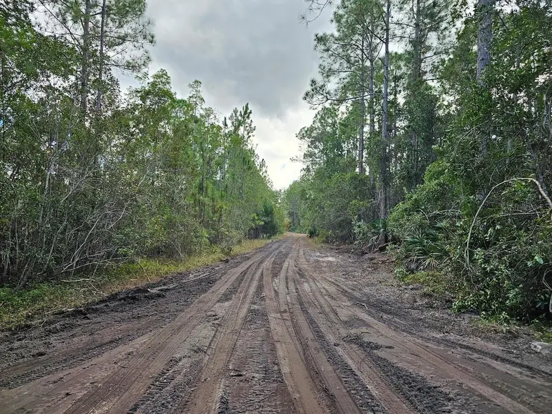 804 Shell Harbor Rd, FL