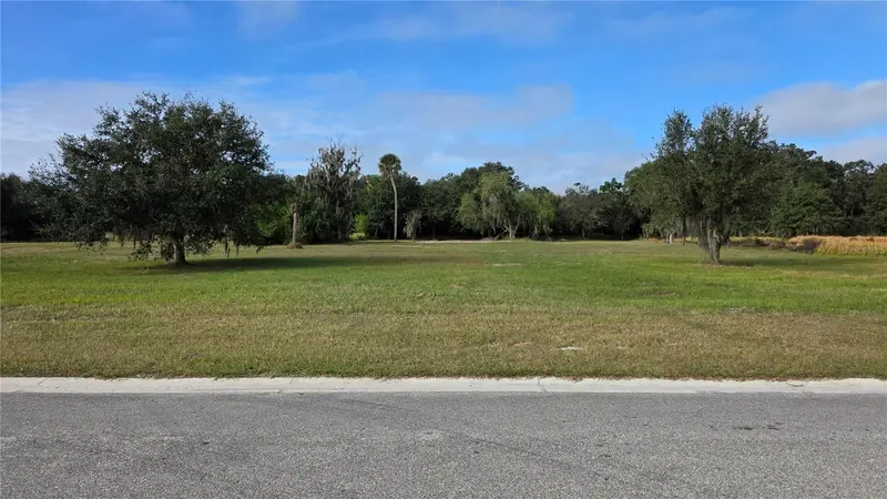 15311 Fishhawk Heights Run, FL