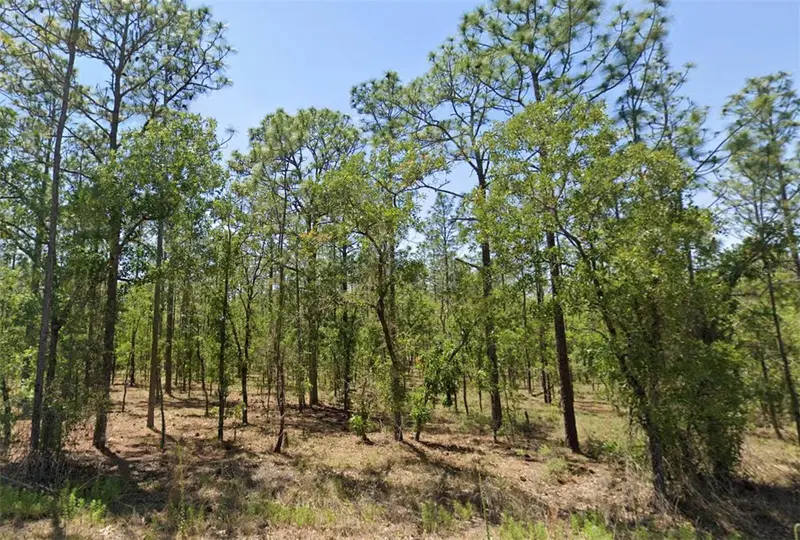 00 Nw Narcissus Rd, FL