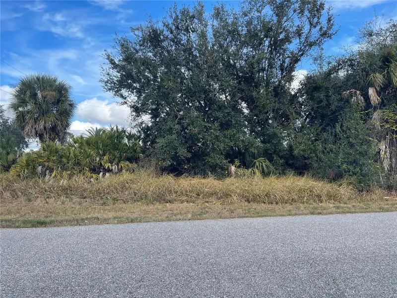 Lot#13 Irondale Rd, FL