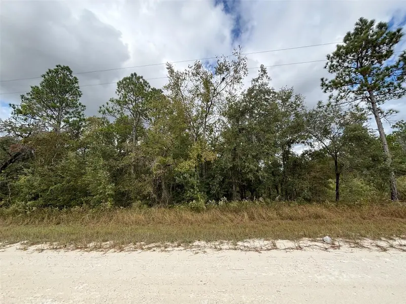 Lot 11 Red Marlin Ave, FL