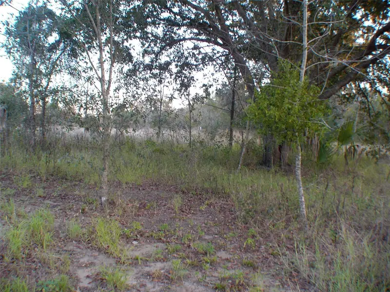 Lady Lake, FL