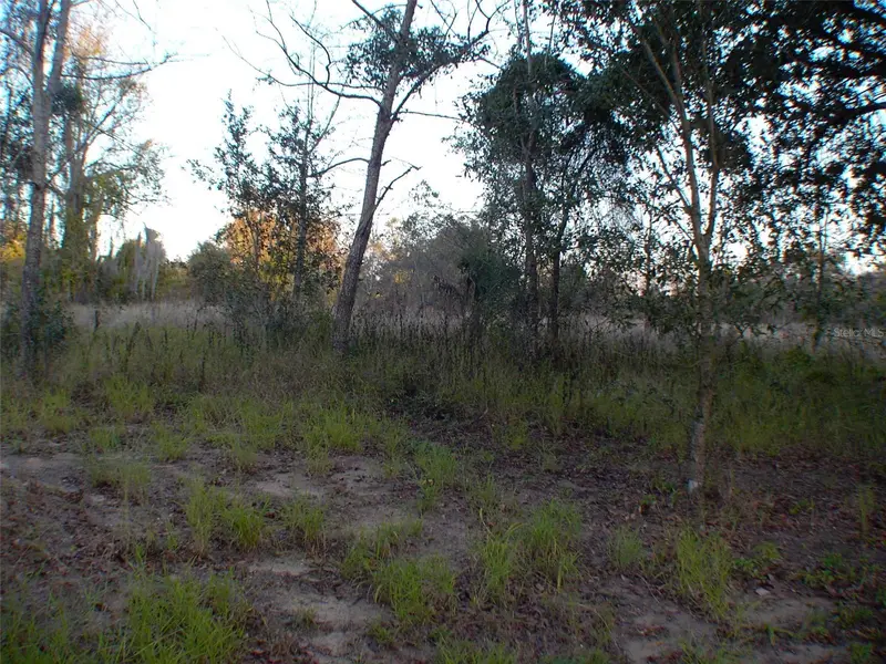 Lady Lake, FL