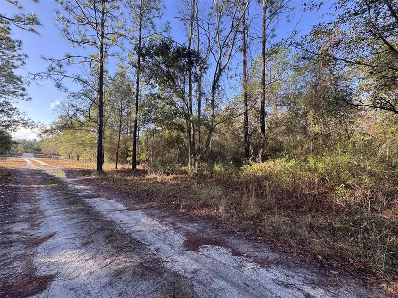 103rd Dr, FL