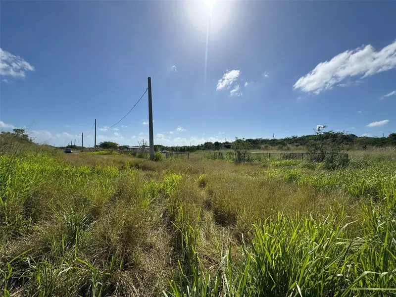 Carr. 542 Bo. Jauca, Sector Cayure Predio 119, PR