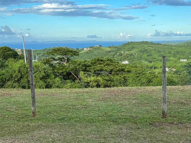 31 Samuel Felix, PR