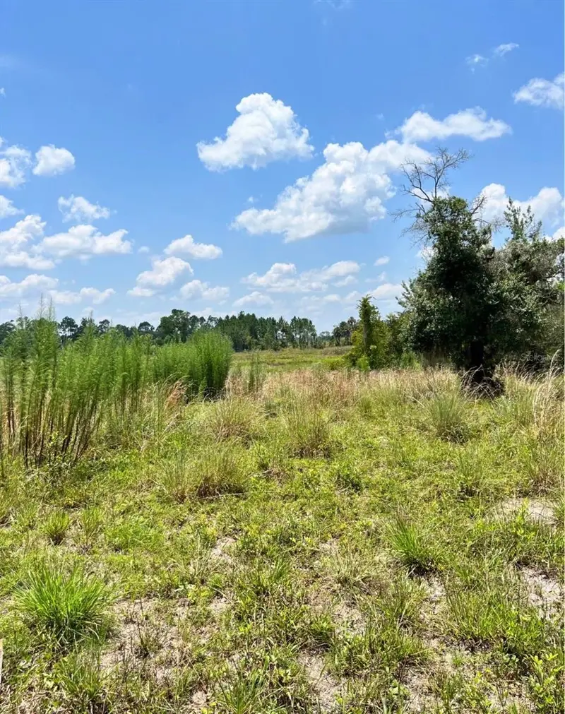 Steward Rd, FL