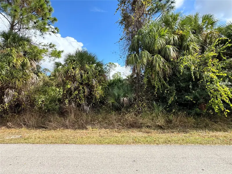 Sapelo Ave, FL
