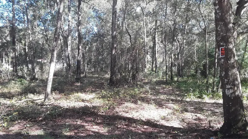 Sw 202 Ave, FL