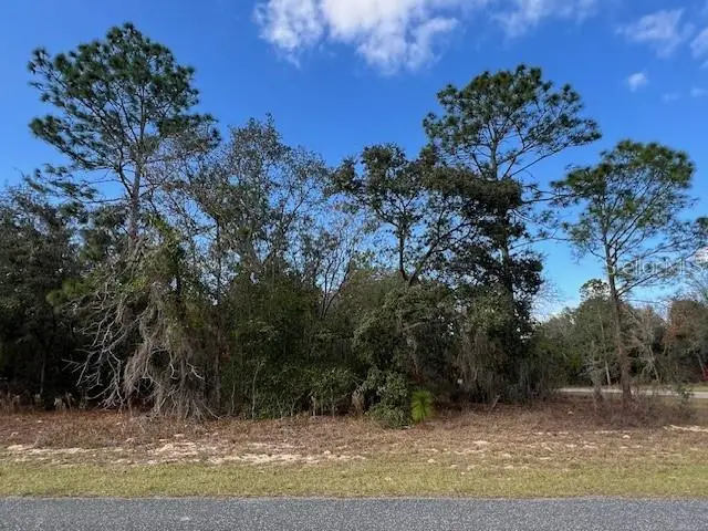 125 W Ruska Pl, FL