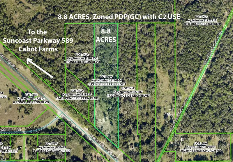 17338 Ponce De Leon Blvd, FL