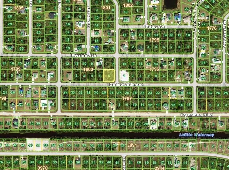 12448 Deepwoods Ave, FL